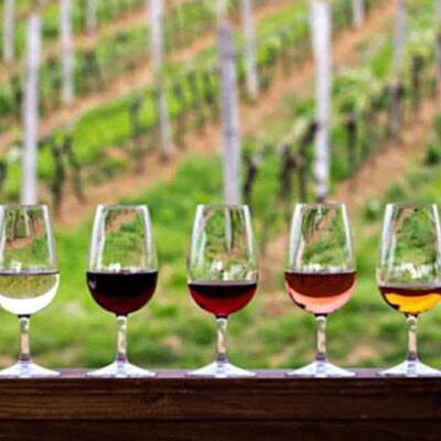 Wine Retreats In Italy